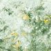 Полевые цветы с эффектом живописи на панно "Flower Symphony" арт.ETD8 005, из коллекции Etude, фабрики Loymina, обои для столовой, купить онлайн